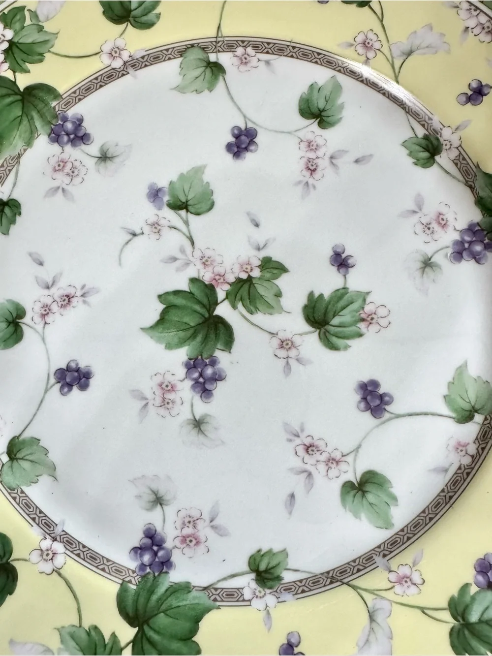 Andrea by Sadek Floral Ivy 11 Inch Decorative Wall Plate